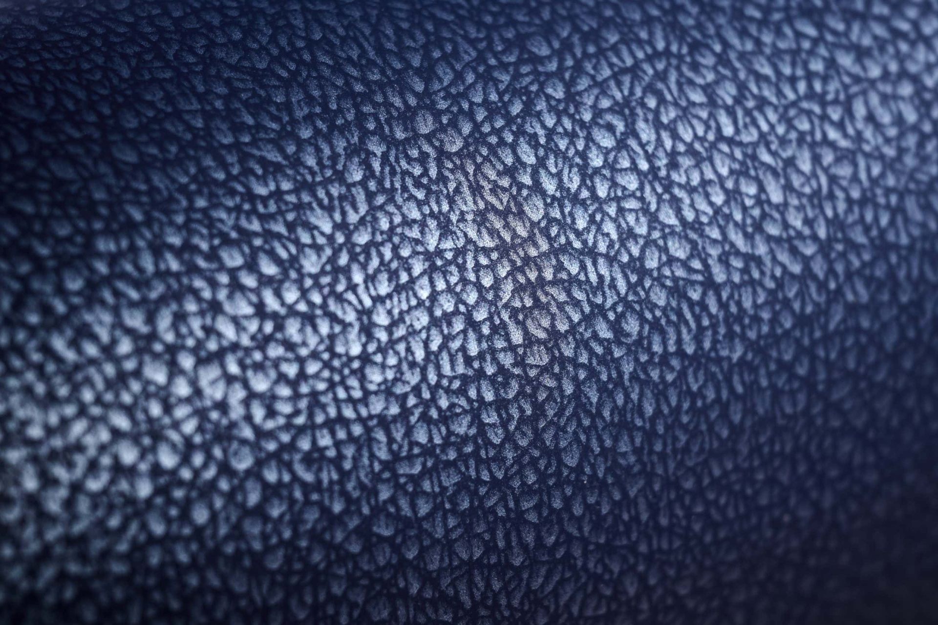 250306_Multicuirs1663